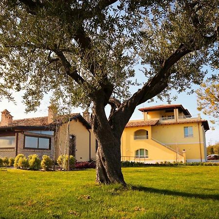 Agriturismo Biocore 2 - Colledoro Джулианова Экстерьер фото