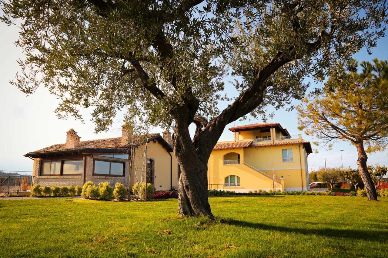 Agriturismo Biocore 2 - Colledoro Джулианова Экстерьер фото