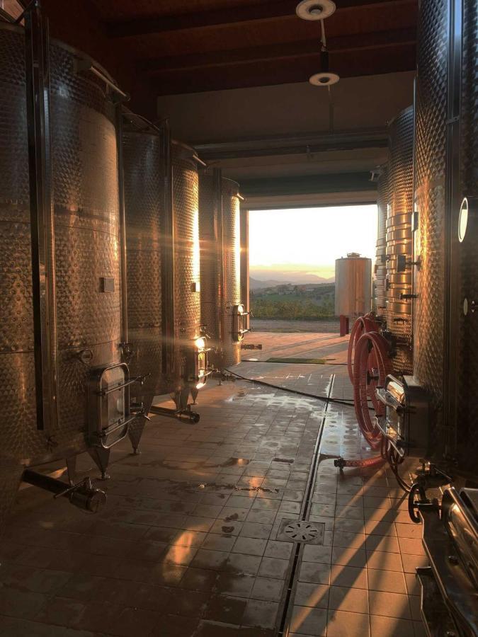 Agriturismo Biocore 2 - Colledoro Джулианова Экстерьер фото